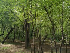 -北陵公园