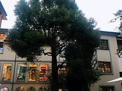 -徐家汇源景区-衡山坊