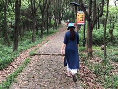 -雨花胜境