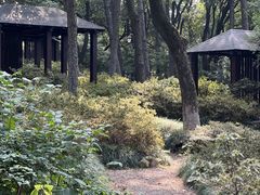 -临平公园(临平街道)