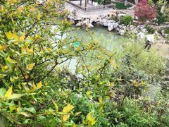 -芥子园