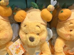 -小熊维尼历险之旅