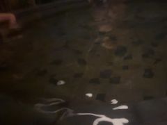 -碧水湾温泉