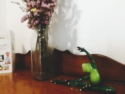 -瑜舍瑜伽连锁教室