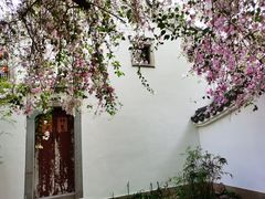 -深圳国际园林花卉博览园