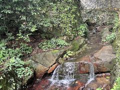 -莫干山风景区