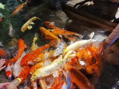 -海合安青岛极地海洋公园
