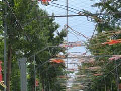 -南宫五洲植物乐园