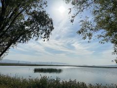 -野鸭湖国家湿地公园