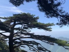 -黄山风景区