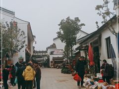 -长兴慧子土特产茶行