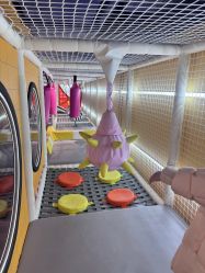 -LuckyStar幸运星家庭娱乐中心(东莞国贸店)