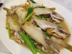 姜葱剥皮鱼-方记洪阳餐厅(福田新村店)