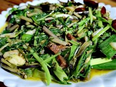 -腾冲国萍农家乐