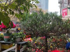 -山水茶艺馆·点心粤菜·30年老字号