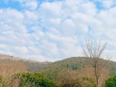 -深业半汤御泉庄温泉