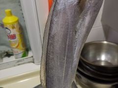 新鲜带鱼-芦潮港集贸市场