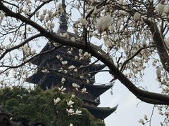 -常熟方塔园