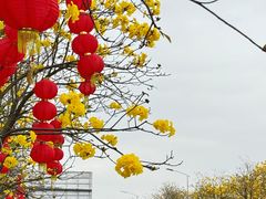 -洲头咀公园
