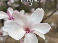 -北京鹫峰国家森林公园