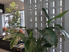 -龍歌自助小火锅(秦淮水游城店)