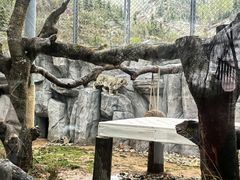 -青藏高原野生动物园