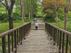 -新江湾城公园