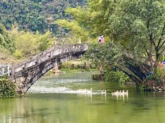 -靖西鹅泉风景区