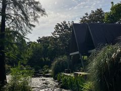 -上海滨江森林公园