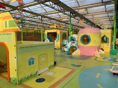 -南宫五洲植物乐园