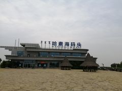 -哈素海