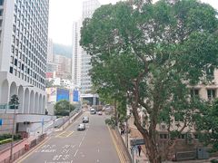 -尼依格罗香港美利酒店