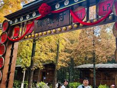 -云南民族村