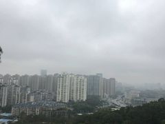 -金鸡山公园