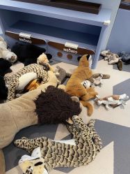 -超级奈尔宝SUPER NEOBIO(杭州星光店)