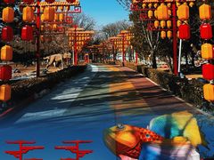 -青龙湖公园