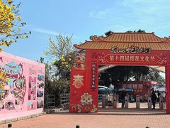 -天适樱花悠乐园