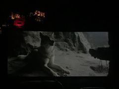 -枫花园汽车电影院(朝阳公园店)