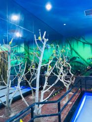 点击看大图 -未来动物城动物主题公园(大悦城店)