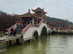 -星湖旅游景区七星岩