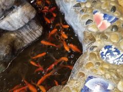 -一桶江山餐厅(松北店)