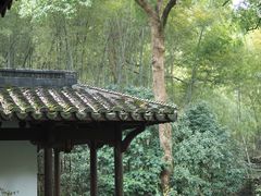 -杭州植物园