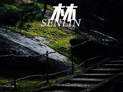 -玉苍山国家森林公园