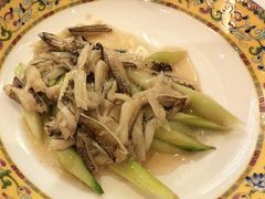 -新光酒家·河豚·海鲜·蟹料理(浦东店)
