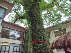 -普陀山雷迪森庄园