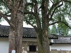 -井冈山风景名胜区