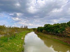 -上海海湾国家森林公园