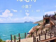 -广东惠东海龟国家级自然保护区
