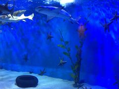 -太平洋海底世界