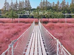 -嘉北郊野公园